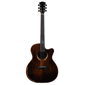 Meridaextrema Gloria V-GAC гитара акустическая с чехлом Gloria V-GAC