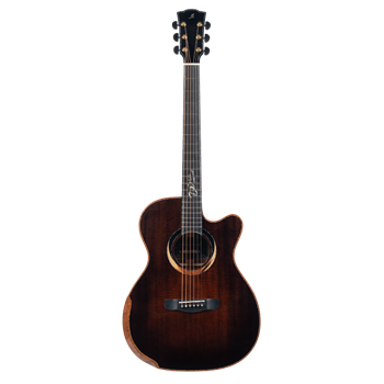 Meridaextrema Astor гитара акустическая с чехлом Astor