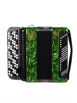 Тульская Гармонь BN-37-GR Баян ученический двухголосный "Тула-209", 92/55х100-II, зеленый BN-37-GR