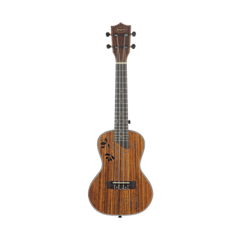 SQOE SQ-UK-24I комплект укулеле концерт и аксессуары SQ-UK-24I