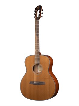 Prodipe JMFSGA200 Акустическая гитара Kopo Series SGA200 JMFSGA200