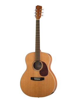 Hora J10400 Jumbo Solo Акустическая гитара J10400