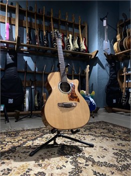 IZ S-S8-GA-N Акустическая гитара (не такая как все) S-S8-GA-N_1