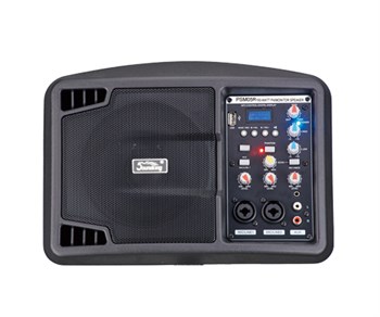 Soundking PSM05R Монитор активный, 150Вт PSM05R