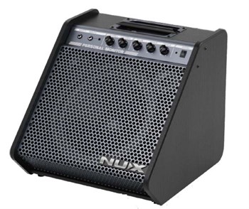 NUX NPA-100 Сценический активный монитор, 120Вт NPA-100