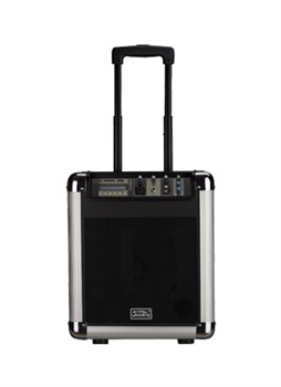 Soundking PA8M Акустическая система с MP3 и микрофоном, портативная, аккумуляторная, 25Вт PA8M
