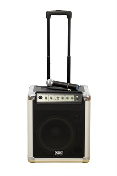 Soundking PA10W Акустическая система аккумуляторная с микрофоном, 50Вт PA10W