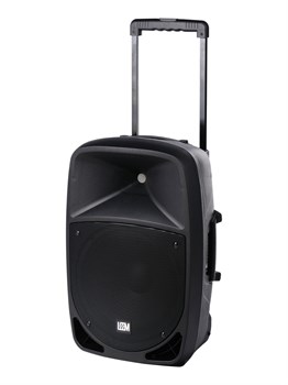 Leem PR-12HR Акустическая система с 2 микрофонами, аккумуляторная, 120Вт PR-12HR