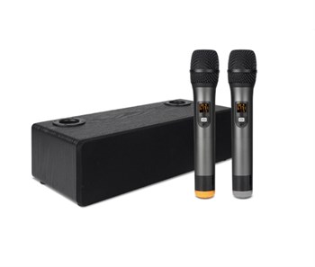 Foix TV32-BK Акустическая система, активная, 2 беспроводных микрофона TV32-BK
