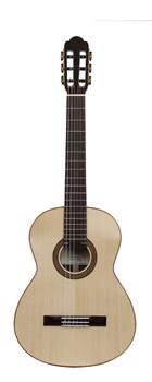 Martinez Torres-650-RS Классическая гитара Torres-650-RS