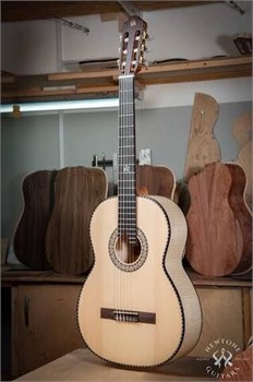 Newtone HWASN "High Wave AS N" Классическая гитара из массива HWASN