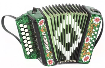 Шуйская Гармонь S20XL-C-GR Гармонь "Ромашка" 15х12-I, зеленая, палехская роспись S20XL-C-GR