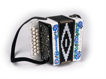 Шуйская Гармонь S20XL-C-WH Гармонь "Ромашка" 15х12-I, белая, палехская роспись S20XL-C-WH