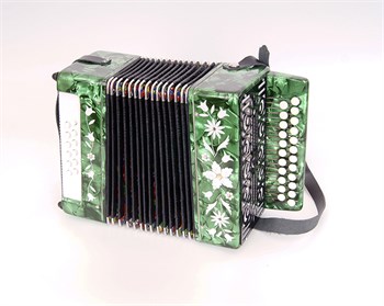 Тульская Гармонь GN-9 Гармонь "Сказка", 23х12-I, с инкрустацией GN-9