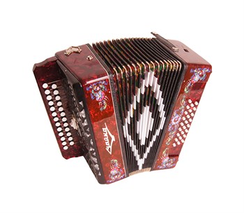 Шуйская Гармонь S5XLY-A-RD Гармонь "Чайка 314" 25х25-III-2, красная S5XLY-A-RD