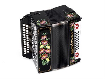 Тульская Гармонь G-21-BK Гармонь Тульская-301М 25х25-III с двумя ремнями, черная G-21-BK