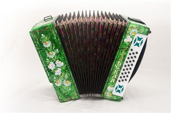 Тульская Гармонь G-21-C-GR Гармонь Тульская-301М 25х25-III с двумя ремнями, зеленая G-21-C-GR