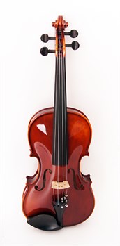 Strunal 193wA-4/4 Скрипка концертная 193wA-4/4