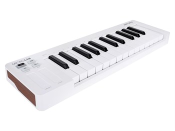 Arturia MicroLab 3 White MIDI клавиатура MicroLab 3 White-1
