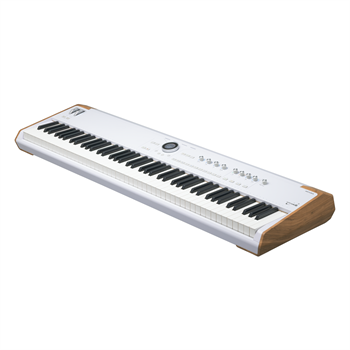 Arturia Astrolab 88 Сценическая MIDI клавиатура Astrolab 88