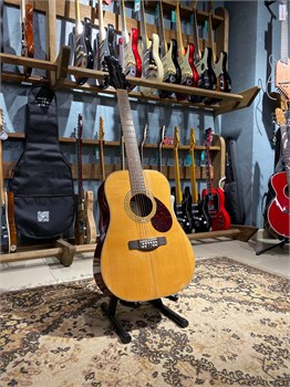 GREG BENNETT D5/12 Акустическая гитара 12 струнная(не такая как все) GREG BENNETT D5/12