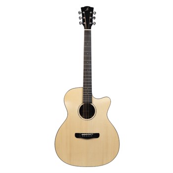 Meridaextrema DG-20BWCS гитара акустическая с чехлом DG-20BWCS