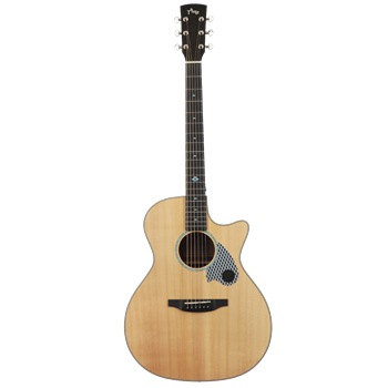 Tyma TG-5P акустическая гитара в комплекте с аксессуарами TG-5P