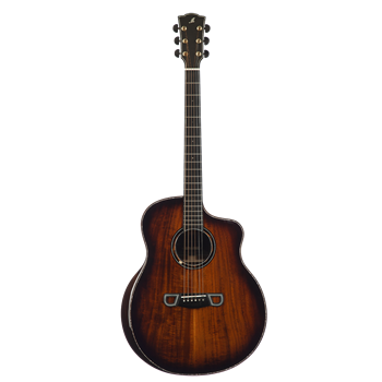 Meridaextrema Scar гитара акустическая с чехлом Scar