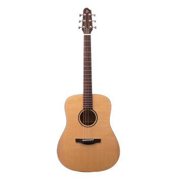 Covenant 150D гитара акустическая с чехлом 150-6