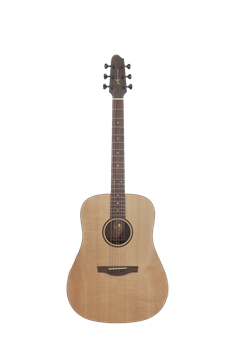 Covenant 170D гитара акустическая с чехлом 170