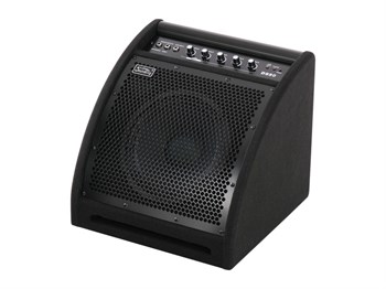 Soundking DS50 Монитор для электронной ударной установки, 50Вт DS50