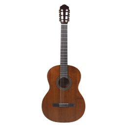 Meridaextrema PC43-VT гитара акустическая с чехлом PC43-VT