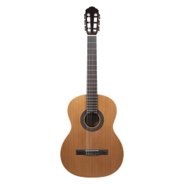 Meridaextrema PC43-NT гитара акустическая с чехлом PC43-NT
