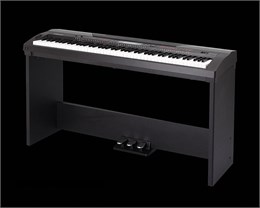 Medeli SP4200+stand Slim Piano Цифровое пианино со стойкой (2 коробки) SP4200+stand