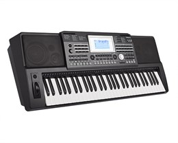 Medeli A810 Синтезатор, 61 клавиша A810