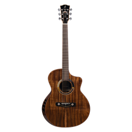 Meridaextrema Venas гитара акустическая с чехлом Venas