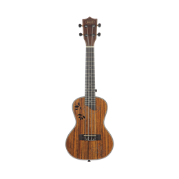 SQOE SQ-UK-24I комплект укулеле концерт и аксессуары SQ-UK-24I