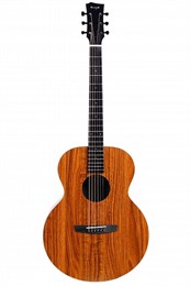 Enya EA-X1+ Акустическая гитара EA-X1+