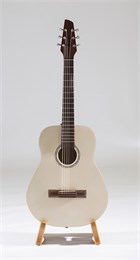 Neva Guitars RHNG6A017 Акустическая гитара RHNG6A017
