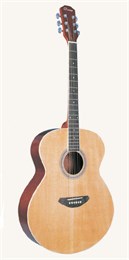 Caraya F665CEQ Электроакустическая гитара, джамбо F665CEQ