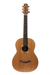 Newtone N17OSMLNE №17 Электроакустическая гитара N17OSMLNE