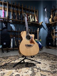 IZ S-S8-GA-N Акустическая гитара (не такая как все) S-S8-GA-N_1