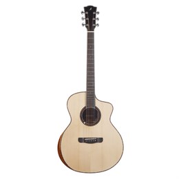 Meridaextrema DTGC гитара акустическая с чехлом DTGC