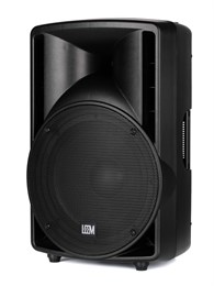 Leem ABS-12 Акустическая система пассивная, 250Вт ABS-12
