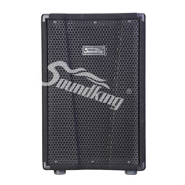 Soundking KJ15 Пассивная акустическая система, 300Вт KJ15
