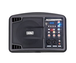 Soundking PSM05R Монитор активный, 150Вт PSM05R