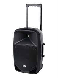 Leem PR-12HR Акустическая система с 2 микрофонами, аккумуляторная, 120Вт PR-12HR