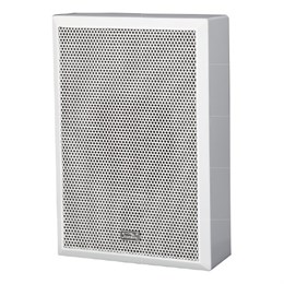 Soundking P14W Громкоговоритель настенный P14W