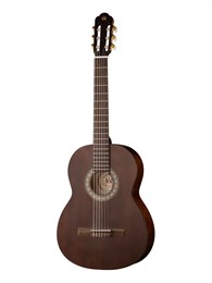 Newtone SCLSDBSP Silena Классическая гитара SCLSDBSP