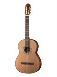 Newtone SCLCEDCTNT Silena Классическая гитара SCLCEDCTNT